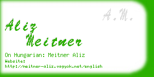 aliz meitner business card